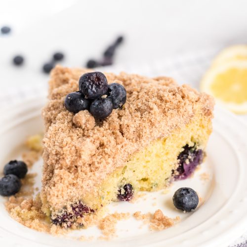 The Best Blueberry Sour Cream Crumb Cake (New York Style)