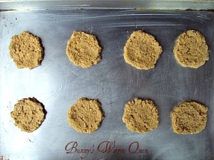 oatmeal peanut butter cookies photo DSC06912_zps916a9ddd.jpg