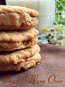 oatmeal peanut butter cookies photo DSC06955_zpsb48ebd1d.jpg