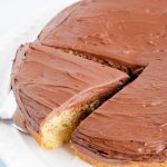 Classic Yellow Sour Cream Cake Topped with Hershey's Fudge Frosting