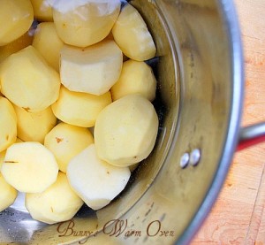 hash browns in air fryer