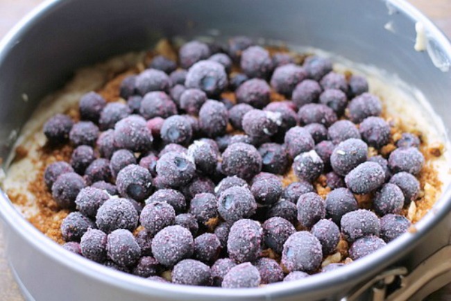 Blueberry Lovers Walnut Coffee Cake