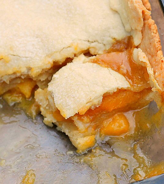 Double Crusted Peach Cobbler
