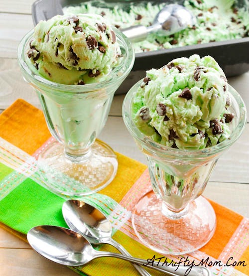 Homemade-Ice-Cream-Mint-Chip-Homemade-Ice-Cream-Homemade-Ice-Cream-Made-Without-A-Machine-Money-Saving-Recipes1