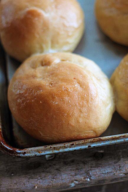 Potato Rolls or Bread Recipe