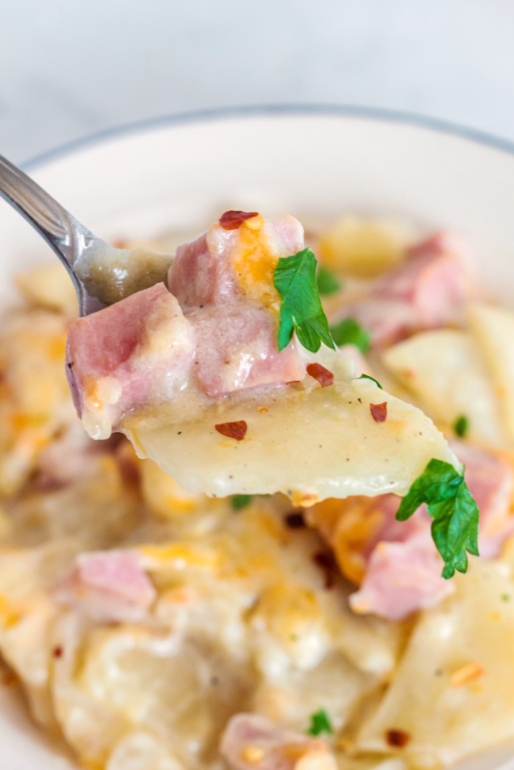 Scalloped Potatoes and Ham –