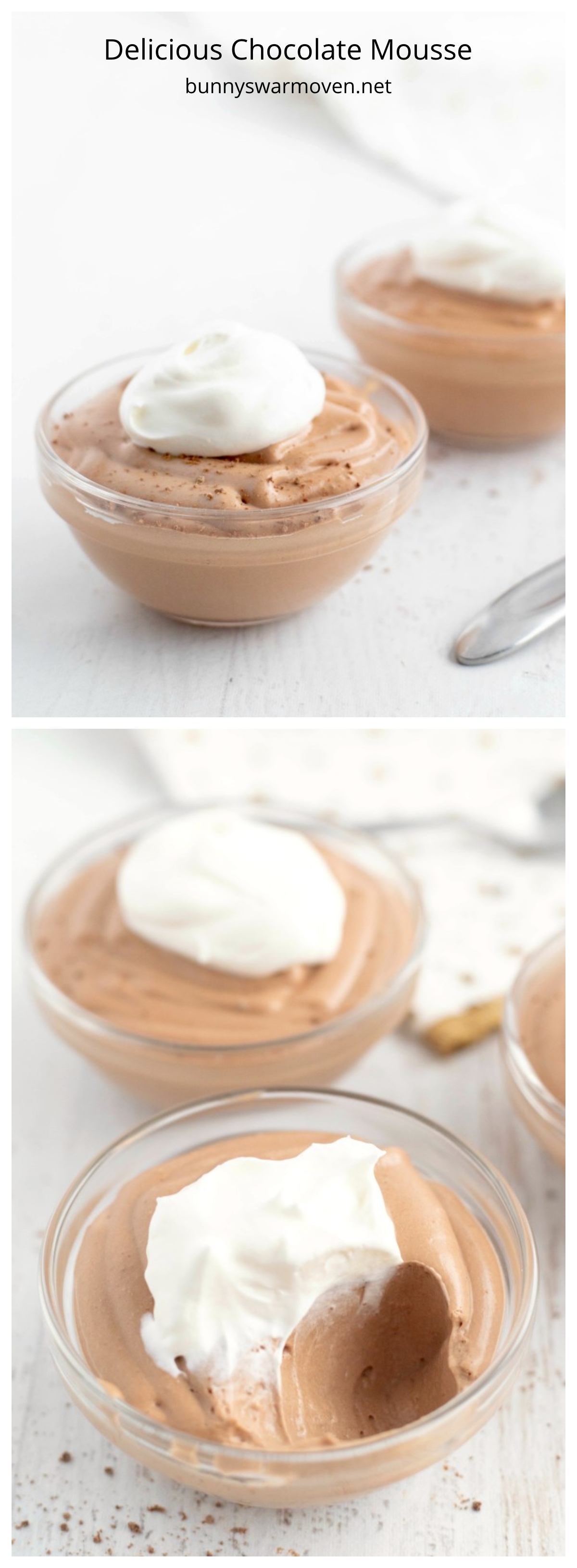 Delicious Chocolate Mousse